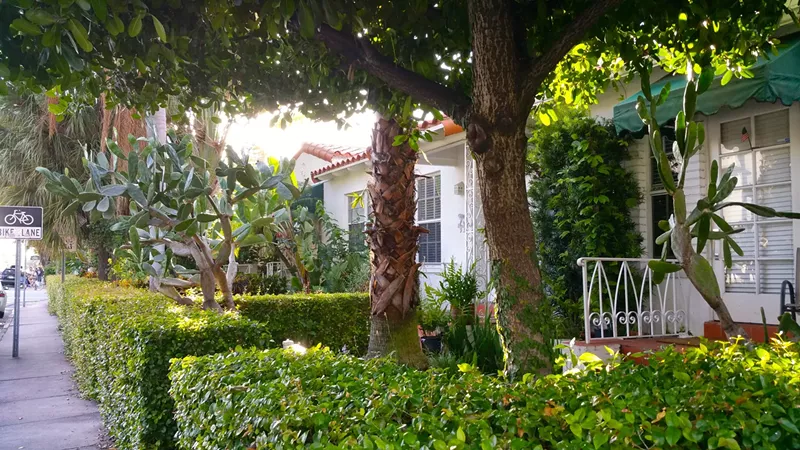 Image: A white home in South Florida with a red tiled roof is surrounded by lush greenery