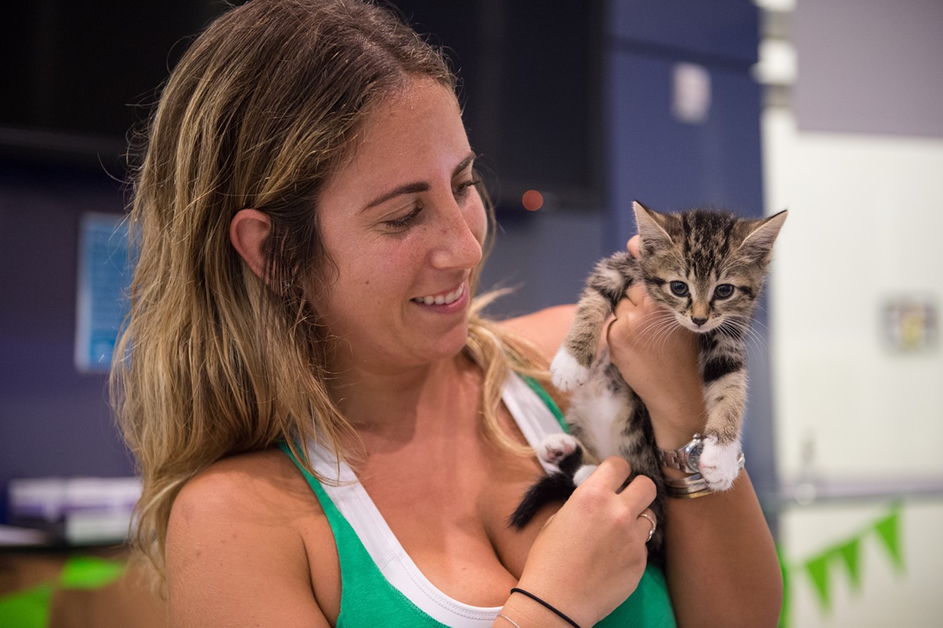 Green Monkey yoga instructor Marissa Lew holds one of the kittens up for adoption.