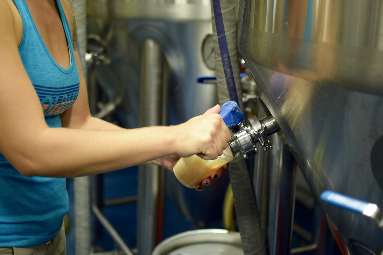 Coqui collaboration beer poured directly from the source at J. Wakefield Brewing.