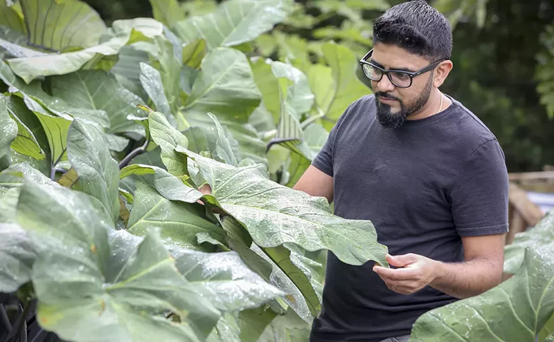 Image: Miami Chefs and Restaurants Join the Paid Influencer Ecosystem