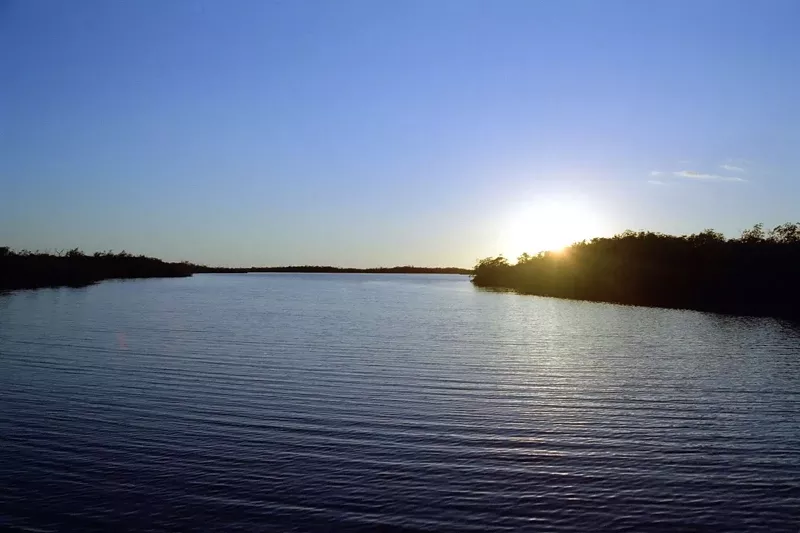 Image: Everglades National Park