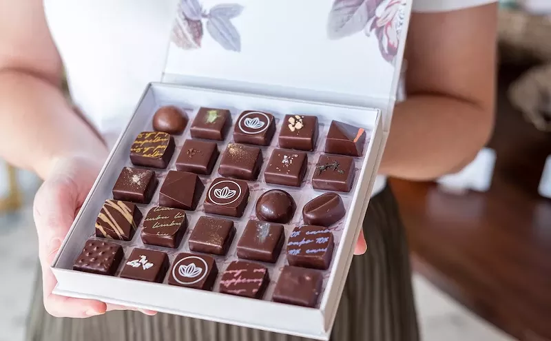 Image: Miami Food Events This Week: Paws Patio for Adoption, Battle of the Bartenders, and a Chocolate Class