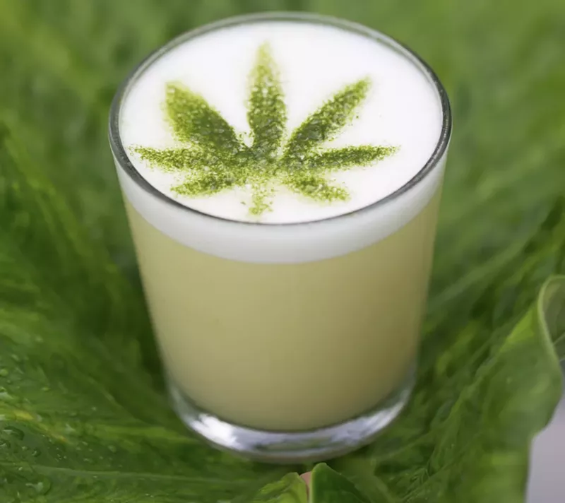 Image: Plant Miami's CBD-infused cocktail, Plant Medicine.