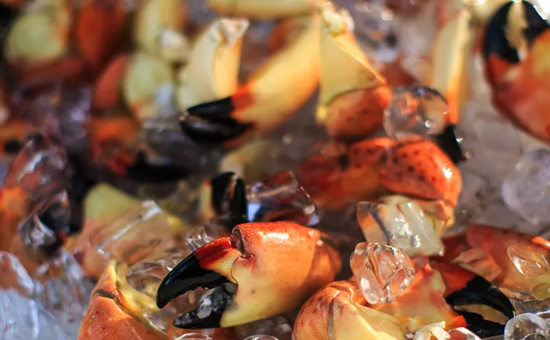 Image: Miami's Best Eats and Drinks This Week: Stone Crabs, Pumpkin Decorating, and Goldsmith and Serfer Collab