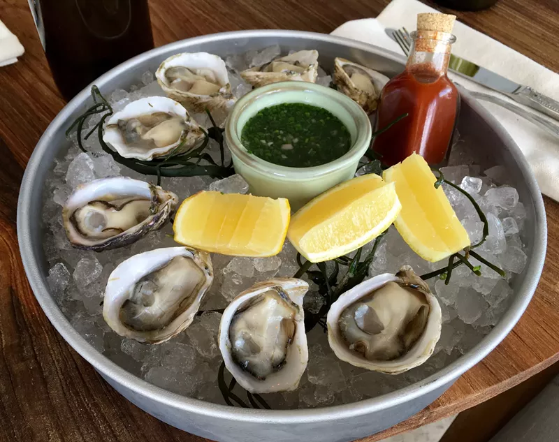 Image: Oysters on the half shell.