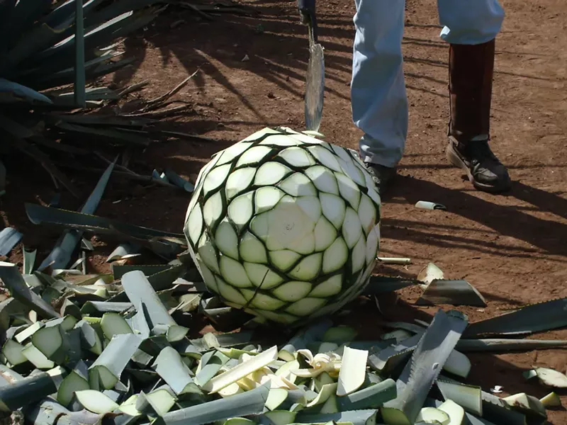 Image: Get into the spirit of agave for National Tequila Day.