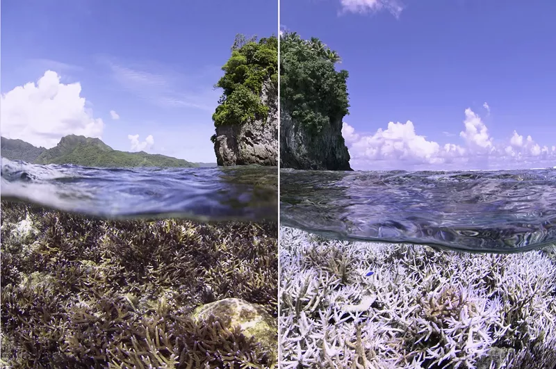 Image: Don't you dare say "The science is unsettled."