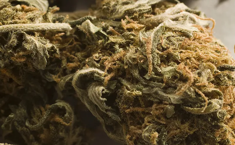 Image: New Times Forges Partnership With Pot Information Provider