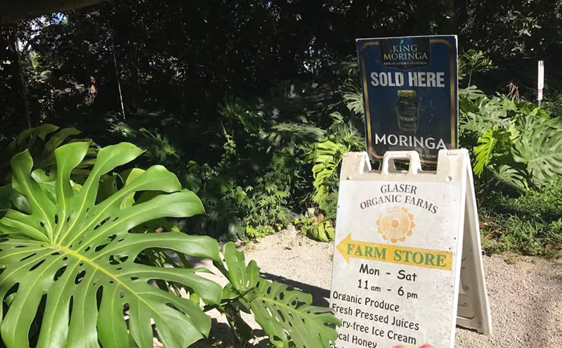 Image: One of Miami's Oldest Organic Farms Accused of Racially Abusing, Underpaying Workers