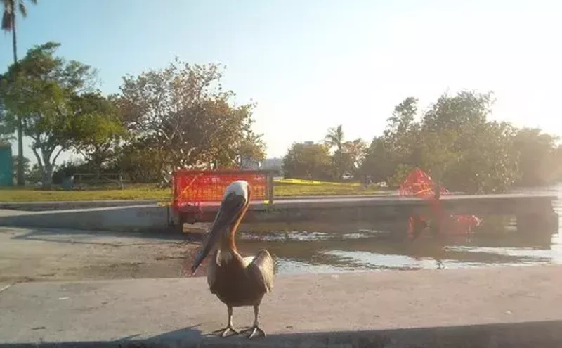 Best Place for Swingers 2008 Miami