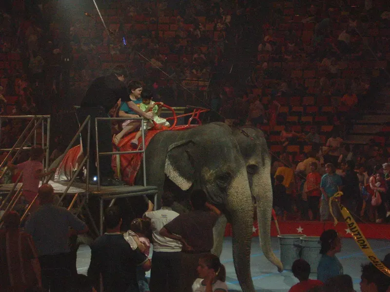 Image: Garden Bros. Circus will stage performances at the Miami-Dade County Fairgrounds before moving on to Pembroke Pines.