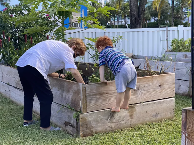 Image: The City of Aventura ripped out the Founders Park South community garden to make way for pickleball courts.
