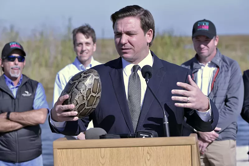 Image: Gov. Ron DeSantis gets ready for the Ssssuper Bowl by pledging to host a python-hunting challenge every year.