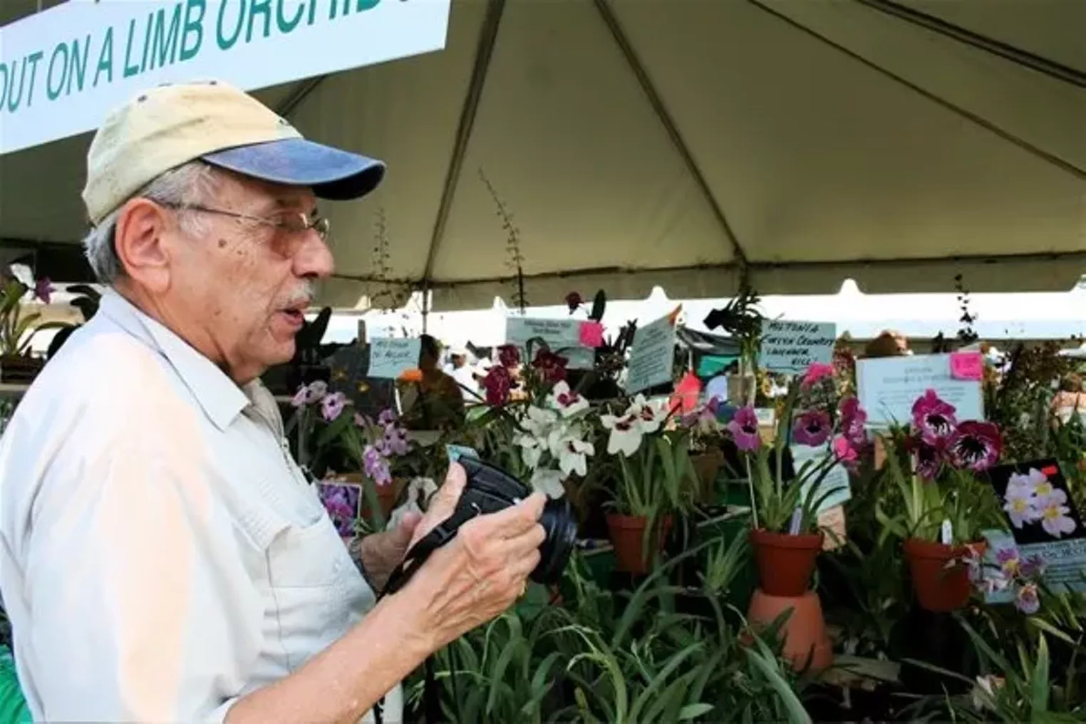 Redland International Orchid Festival | Miami | Miami New Times | The