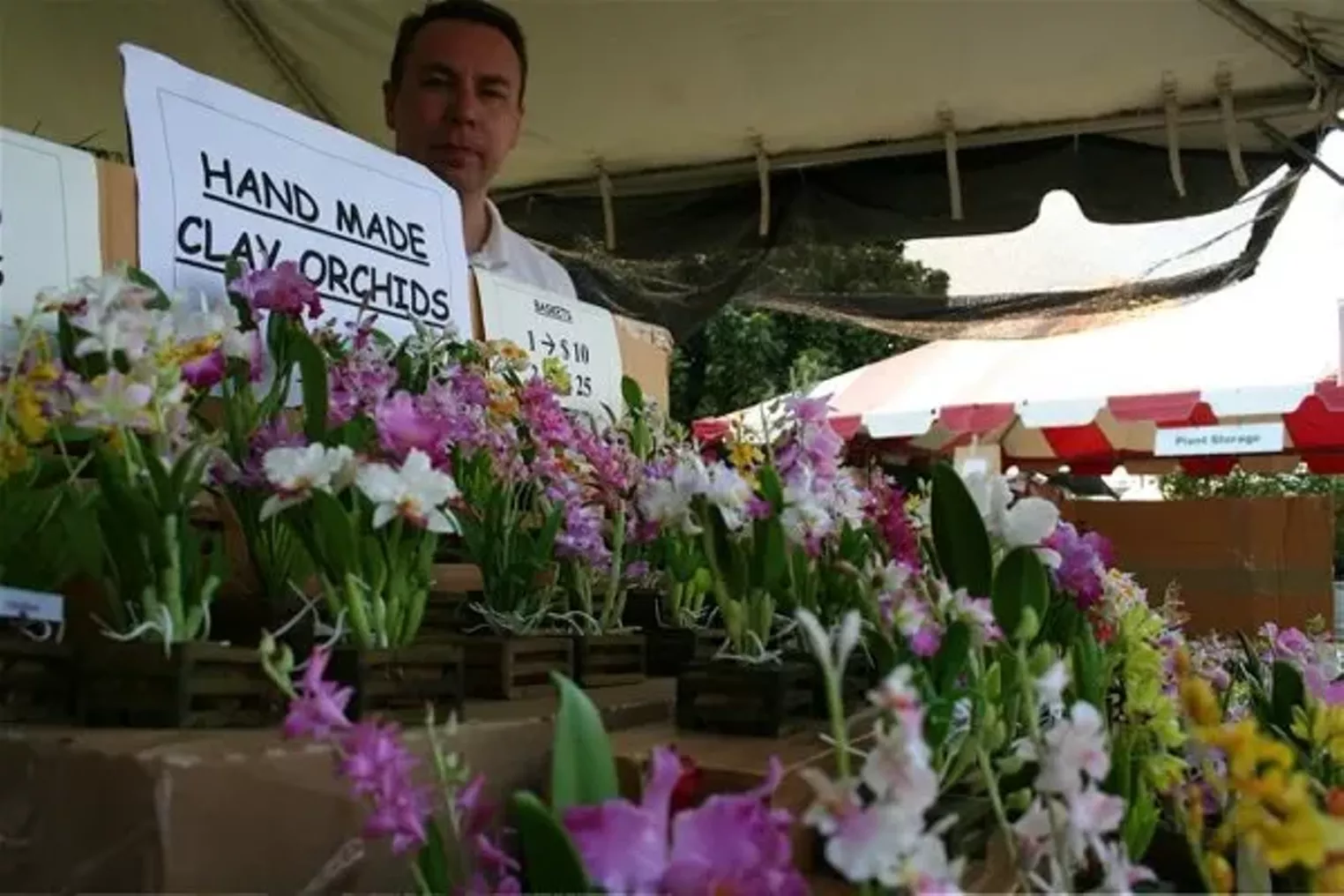 Redland International Orchid Festival | Miami | Miami New Times | The