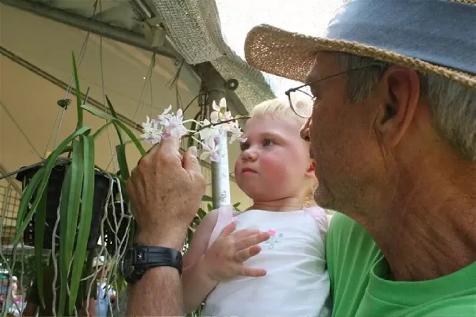 Redland International Orchid Festival | Miami | Miami New Times | The