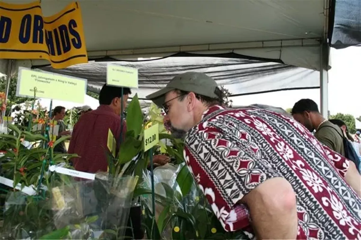 Redland International Orchid Festival | Miami | Miami New Times | The