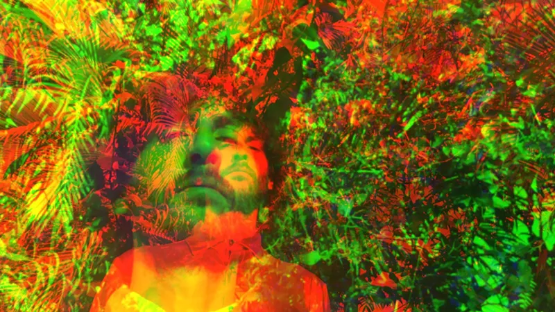 Image: "Amazonia "is the second single off Richie Hell's upcoming album, The Gumbo Limbo Experiment.
