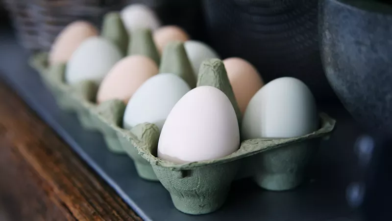 Image: Call it an eggs-istential crisis.