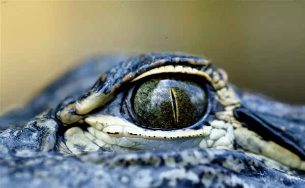Image: South Florida Park Ranked One of the Best Adventure Destinations in the U.S.