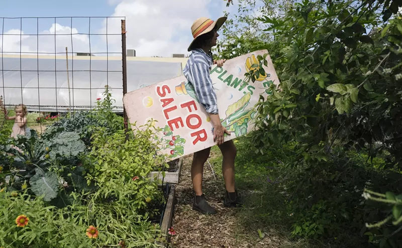 Image: South Florida Plant Nurseries Can't Keep Up With Pandemic Shoppers