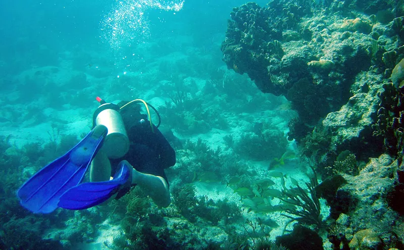 Image: State Park Just Over an Hour from Miami Ranked One of the Best in the Country