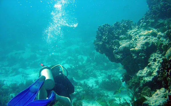 Image: State Park Just Over an Hour from Miami Ranked One of the Best in the Country