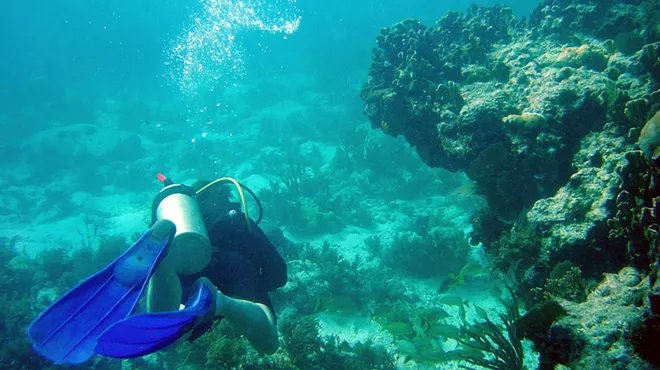 a person snorkels past coral reefs