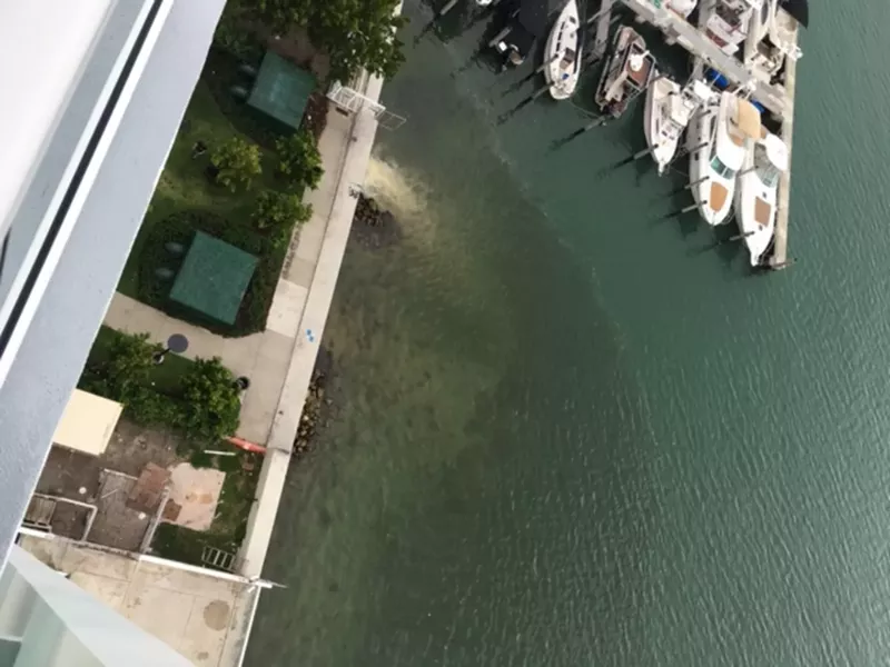 Image: Stormwater outfall at West Avenue and Tenth Street in Miami Beach.