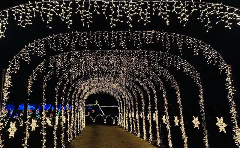 Image: The 12 Best Things to Do in Miami This Week