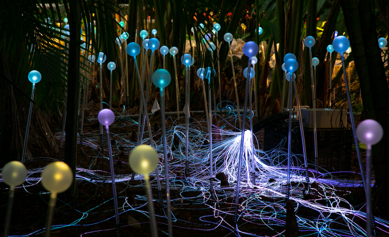 "Forest and Field of Light" at Pinecrest Gardens: See Friday