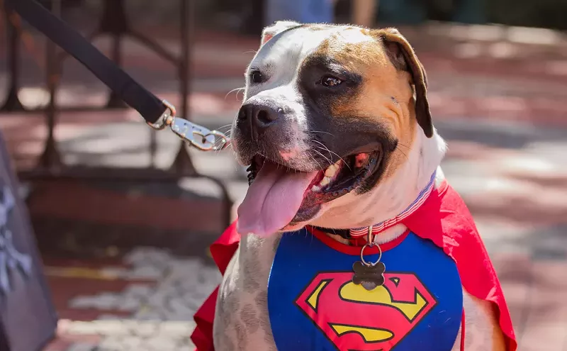 Image: The 19 Best Things to Do in Miami This Week