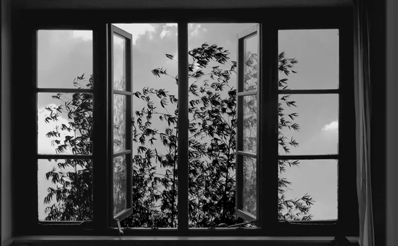 Image: The Late, Great Kiarostami’s 24 Frames Invites Us to Gaze Along With a Master