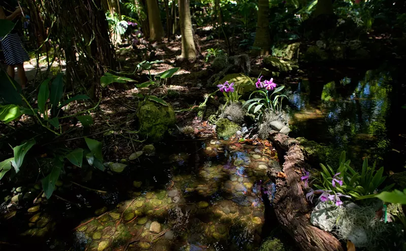 Image: The Ten Best Outdoor Activities in Miami