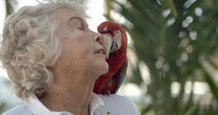 Feinstein with one of her six macaws. - PHOTO COURTESY OF NEIL LOSIN / DAY'S EDGE PRODUCTIONS.