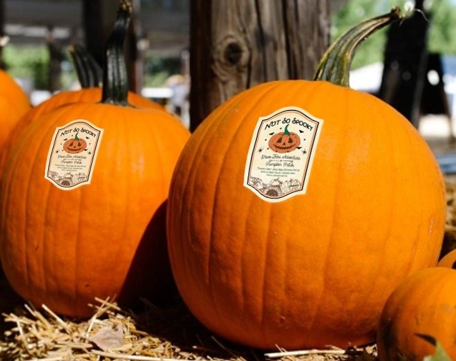 A roadside pumpkin patch awaits at Not So Spooky. - PHOTO COURTESY OF SWARM