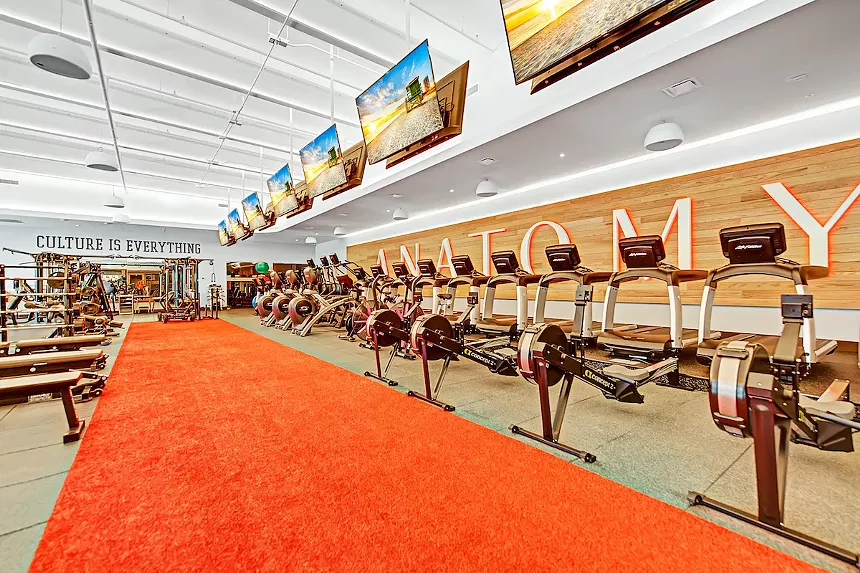 Interior of Anatomy