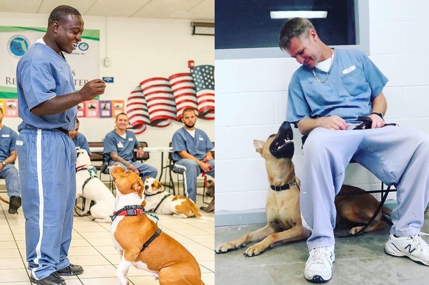 Research suggests that animal companionship can help reduce stress, a crucial factor for people living in prisons.  - PHOTOS COURTESY OF MAGIC CITY K9