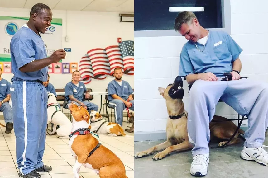Research suggests that animal companionship can help reduce stress, a crucial factor for people living in prisons. - PHOTOS COURTESY OF MAGIC CITY K9