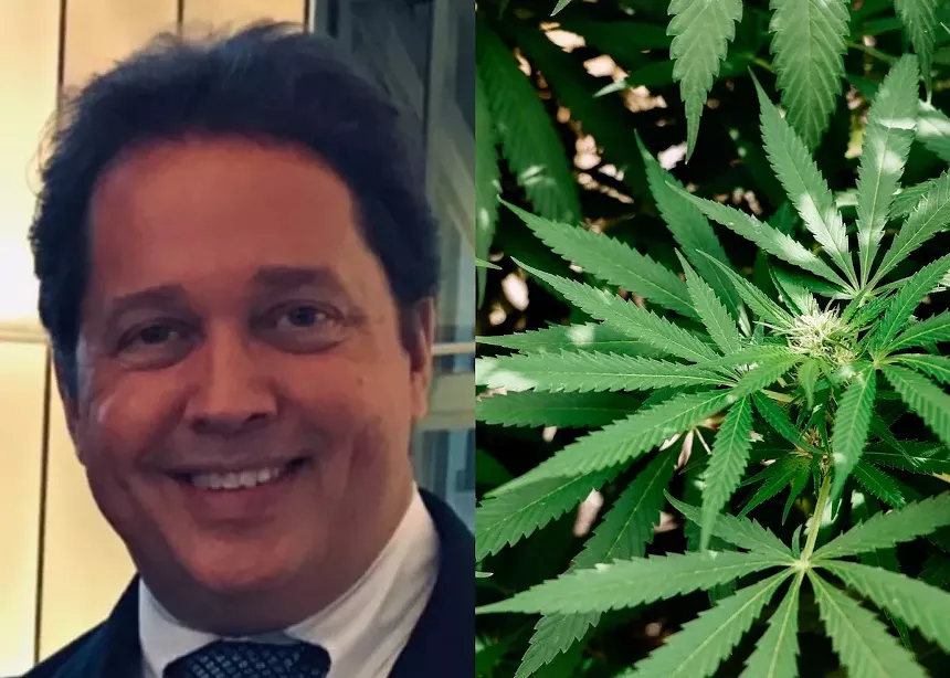 David Nelson Freeman thinks weed smells like a good time. - DAVID NELSON FREEMAN PHOTO VIA TWITTER, POT PLANTS PHOTO BY ELSA OLOFSSON VIA FLICKR