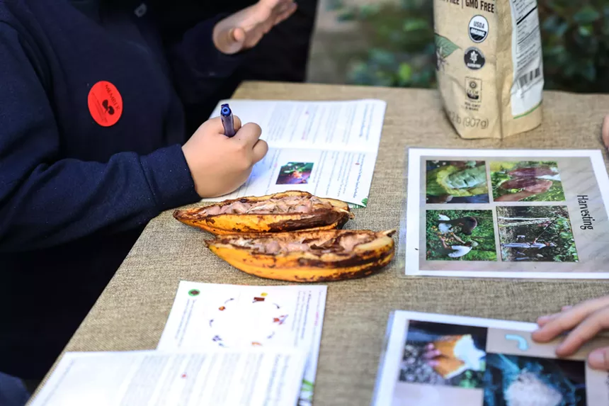 A person writing next to cacao