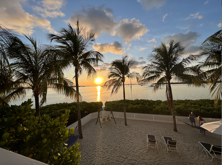 A beachfront property with coconut trees