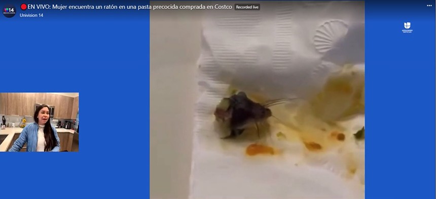 A decomposing rodent head, soaked in pasta sauce, which a Colombian dentist claims she pulled out of her mouth while eating a Costco-bought pasta dish