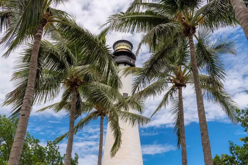 Palm trees in the foreground and a towering, white lighthouse in the background