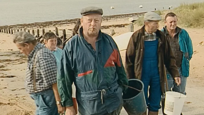 Still from the documentary The Gleaners and I