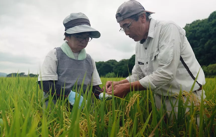 farmers in a field