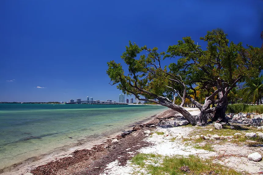 the shores of Hobie Island Beach Park with the Miami skyline in the background