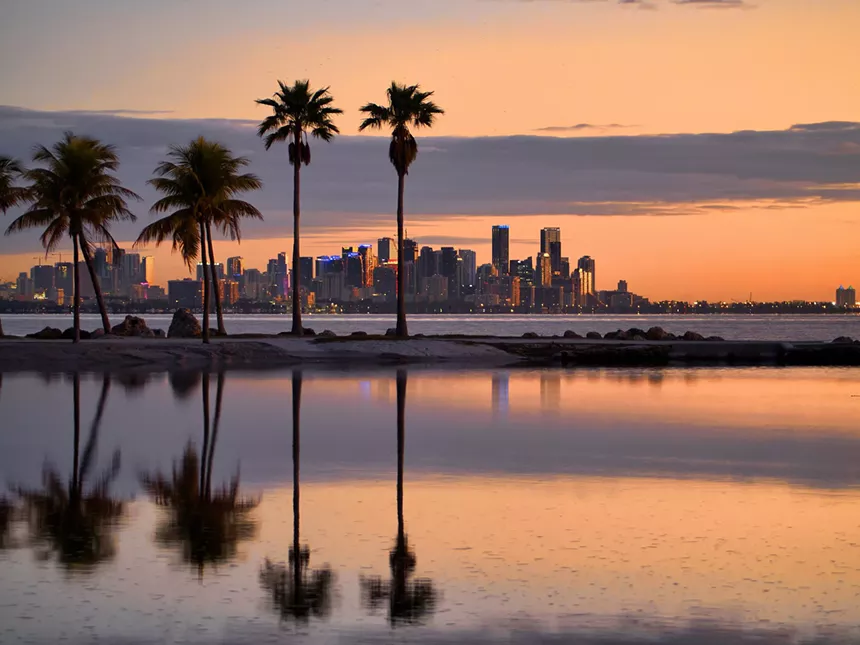 A skyline photo with palm trees and a body water