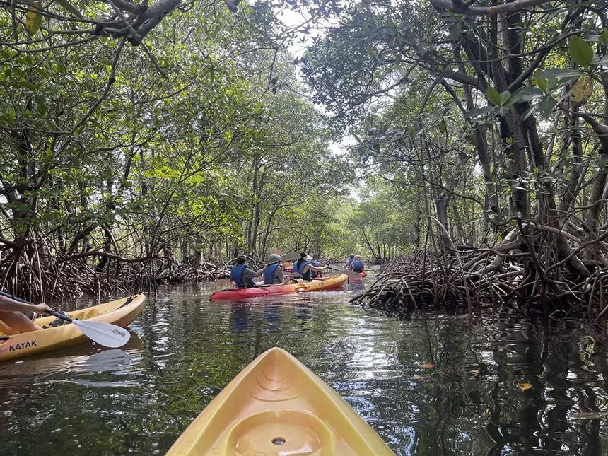 Kayakers row through water.