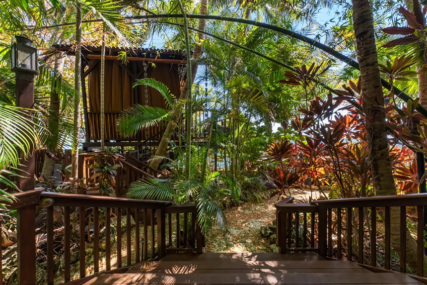 wood treehouse